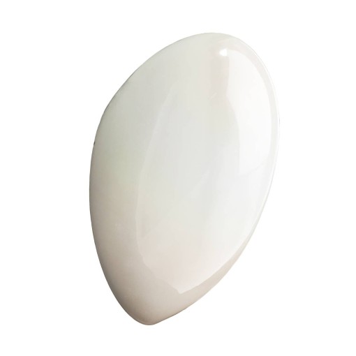 LOTUS WHITE
