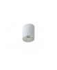 REMO WHITE