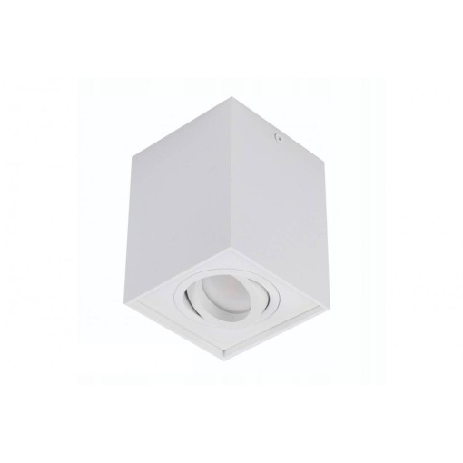 ELOY 1 WHITE