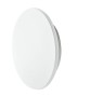 ANCONA M WHITE