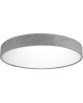 COLLODI 48 GREY