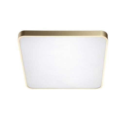 QUADRO 50 LED CCT GOLD