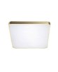 QUADRO 50 LED CCT GOLD
