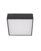 FALCO 12 3000K BLACK