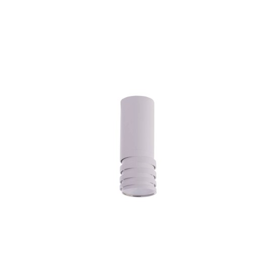 LOCUS WHITE