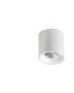 MANE 10W 4000K WHITE