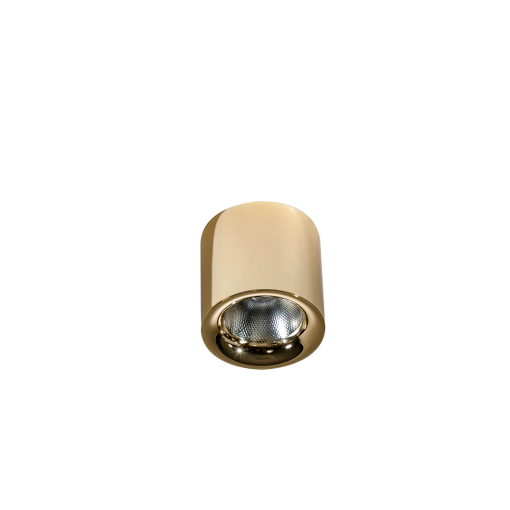MANE 20W DIMM GOLD