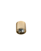 MANE 20W DIMM GOLD