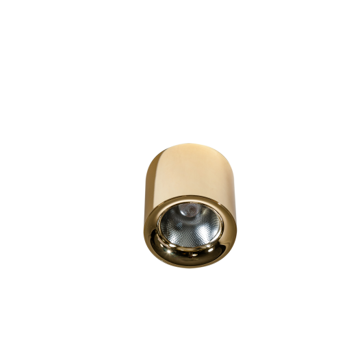 MANE 30W DIMM GOLD