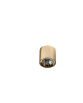 MANE 30W DIMM GOLD