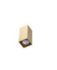 VELIA S 2 BRASS
