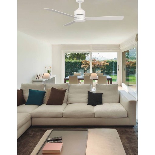 VINCA CCT + Remote Control...