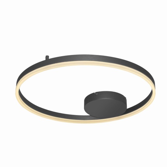 HALO 60 TOP BK