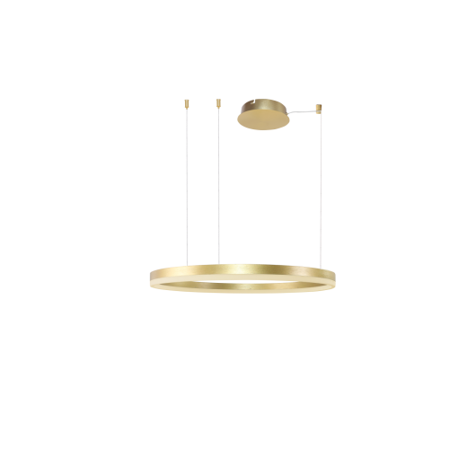 HALO PENDANT 80 GO