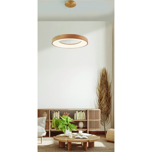 SANTANA PENDANT 60 CCT WO +...