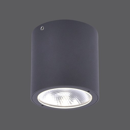 9673-13 GEORG CEILING...