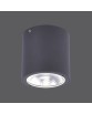9673-13 GEORG CEILING LIGHT, ANTHRAZIT