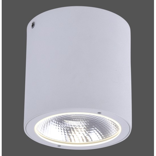 9673-16 GEORG CEILING LIGHT, WHITE