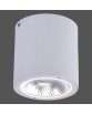 9673-16 GEORG CEILING LIGHT, WHITE