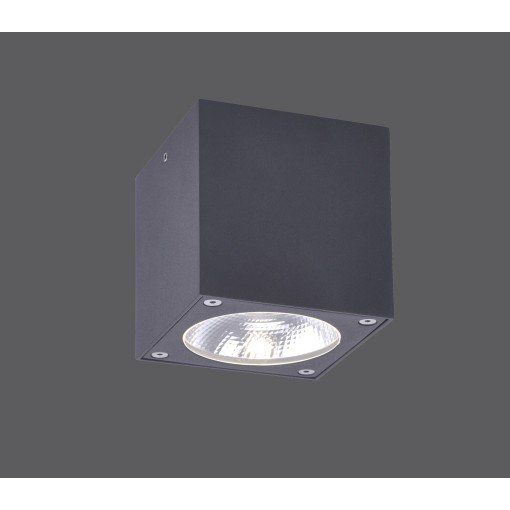 9674-13 GEORG CEILING...
