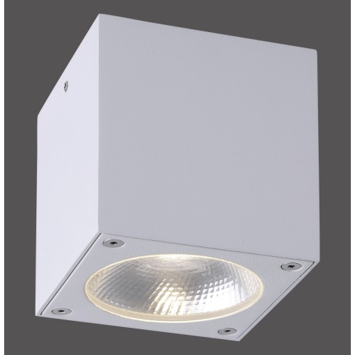 9674-16 GEORG CEILING...