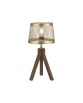 11423-60 LAMPA STOŁOWA FREDERIK
