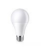 ORO-PREMIUM-E27-A60-10W-XP-WW, 3000K ŻARÓWKA