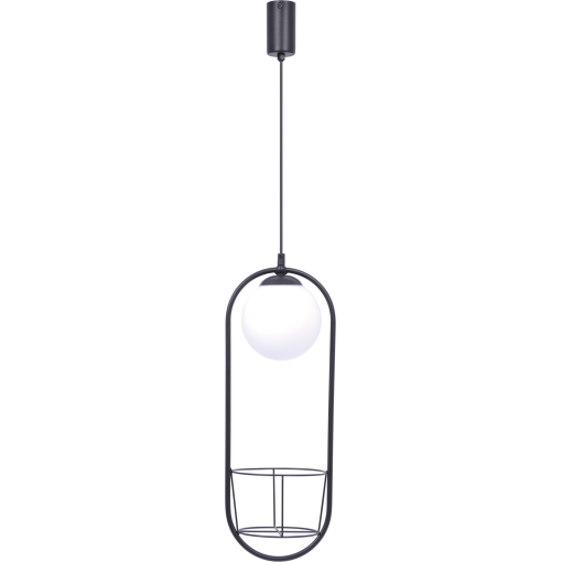 5003 PLANT 1 PENDANT LAMP