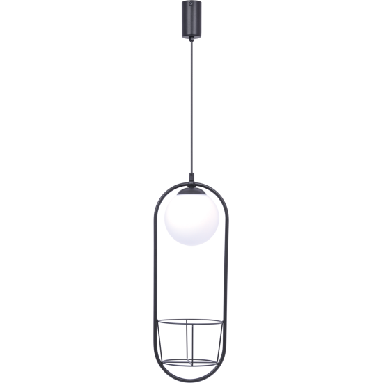 5003 PLANT 1 PENDANT LAMP