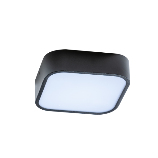 LUCIE 25 BK