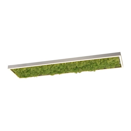 LAMPA SUFITOWA GREEN KNUT...