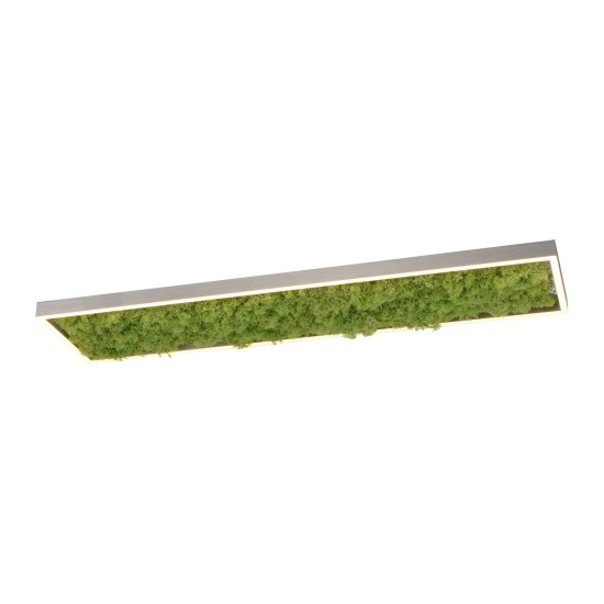 LAMPA SUFITOWA GREEN KNUT ZUMALINE