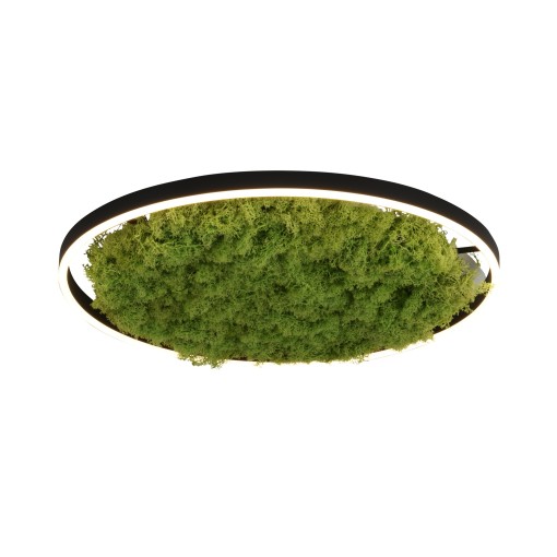 LAMPA SUFITOWA/PLAFON GREEN...