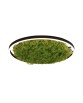 LAMPA SUFITOWA/PLAFON GREEN RITUS ZUMALINE