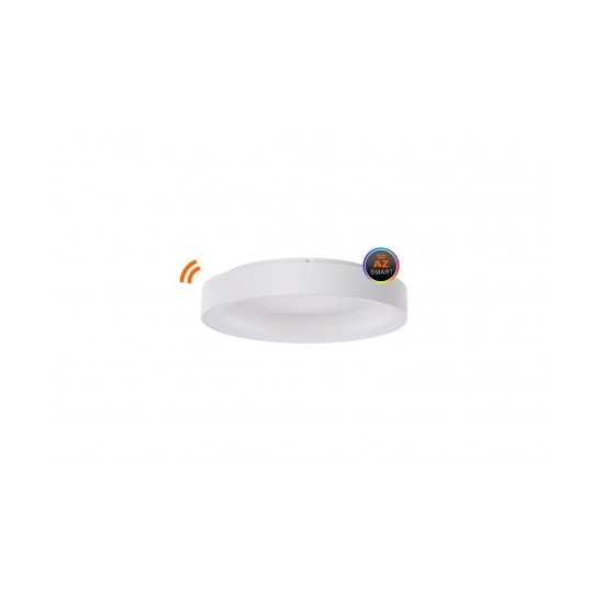 PLAFON SOLVENT R TOP 60 + REMOTE CONTROL